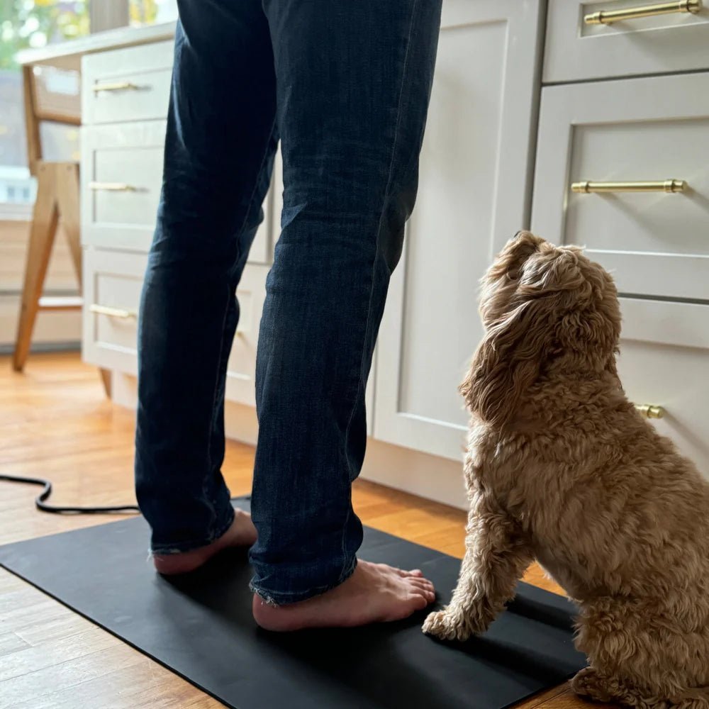 Earthing Rods Mat Large Earthing Floor Mat Kit (53×78cm) | Grounding Mat for Home & Family