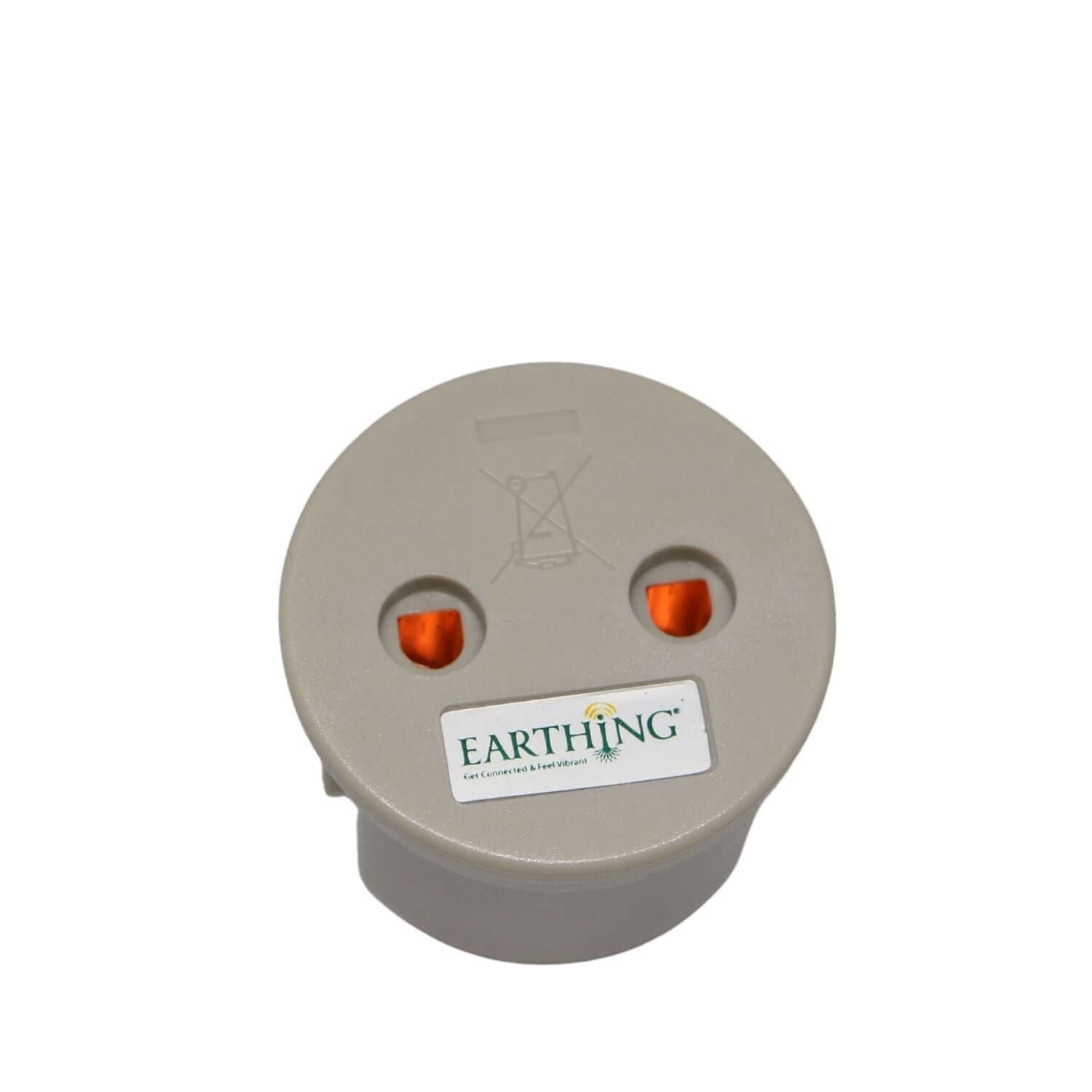 Earthing Plug Adaptors