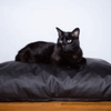 Earthing Elite Grounding Pet Bed Cover Kit - 3 sizes - Pet Bed Accessories - Earthing Revolution Ltd