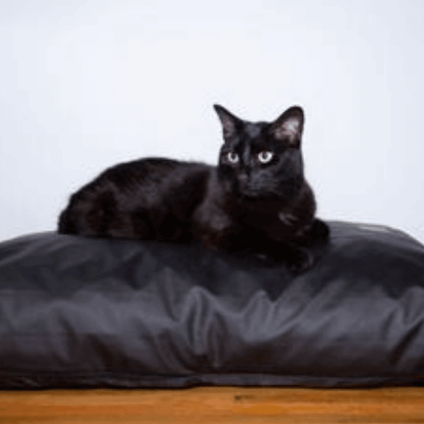 Earthing Elite Grounding Pet Bed Cover Kit - 3 sizes - Pet Bed Accessories - Earthing Revolution Ltd